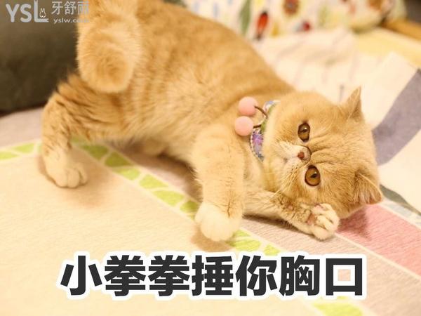 網(wǎng)圖