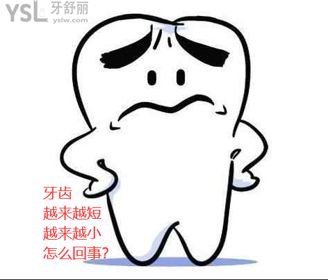 牙齒越來越短越來越小什么原因