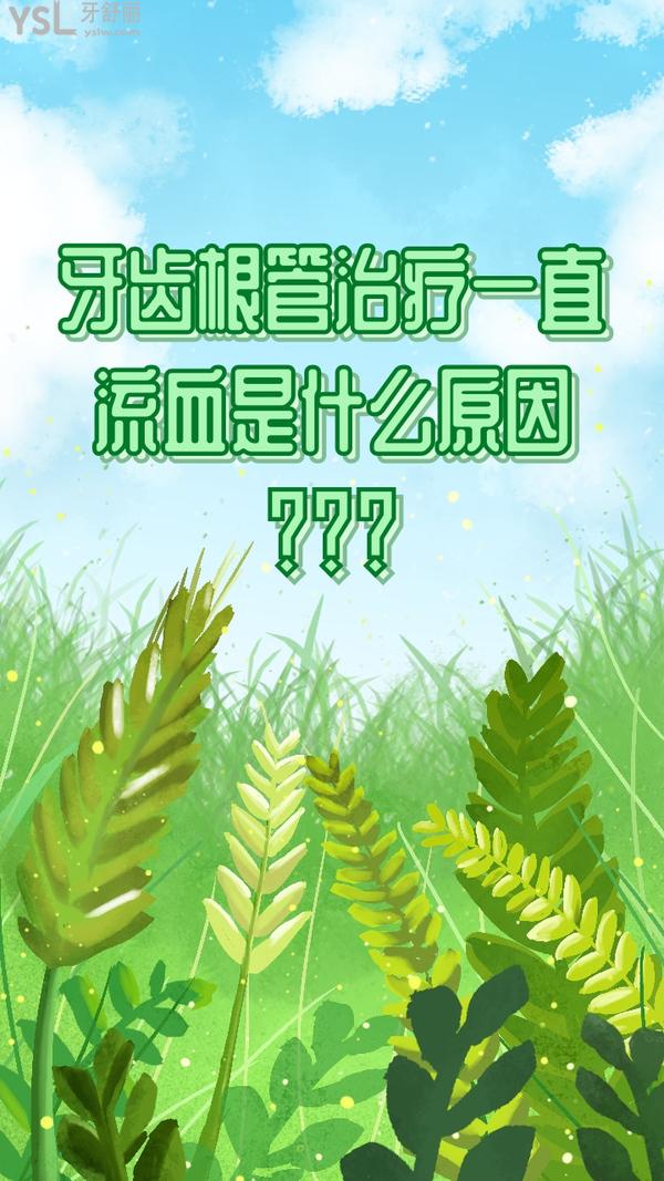 牙齒根管治療一直流血是什么原因？來看看你的問題出在哪