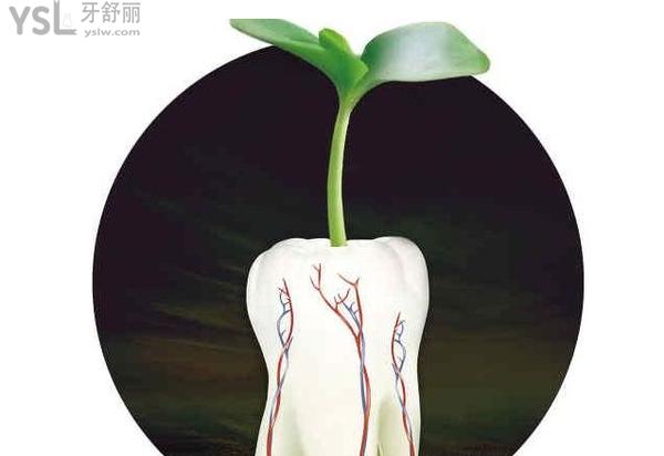 種牙后注意事項