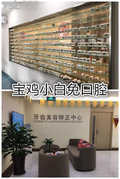寶雞小白兔口腔環(huán)境圖