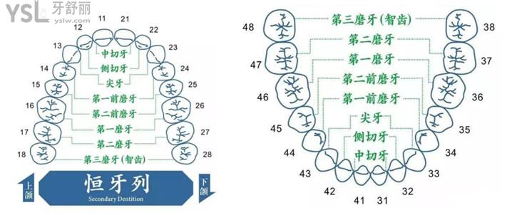 西安牙科怎么收費(fèi)的 2021西安口腔價(jià)格表