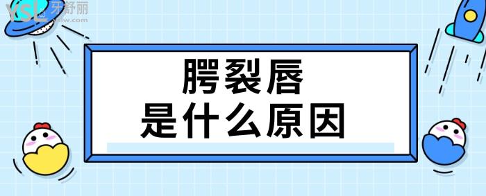 腭裂唇是什么原因，如何預(yù)防？.jpg