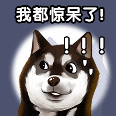 種植牙2980元、3980元、3999元哪個是騙局.gif