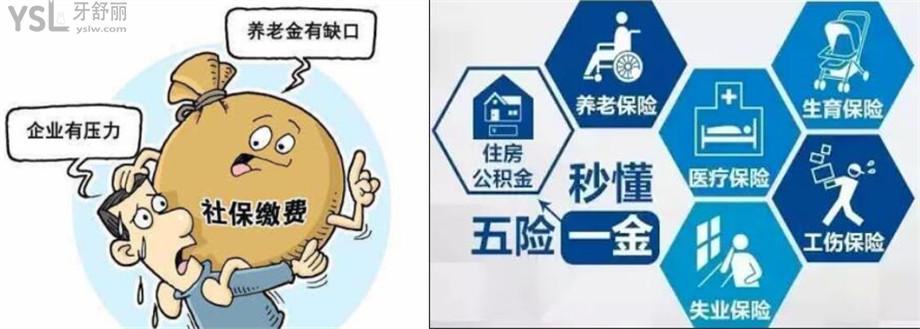 三檔社?？梢詧?bào)銷(xiāo)拔牙嗎