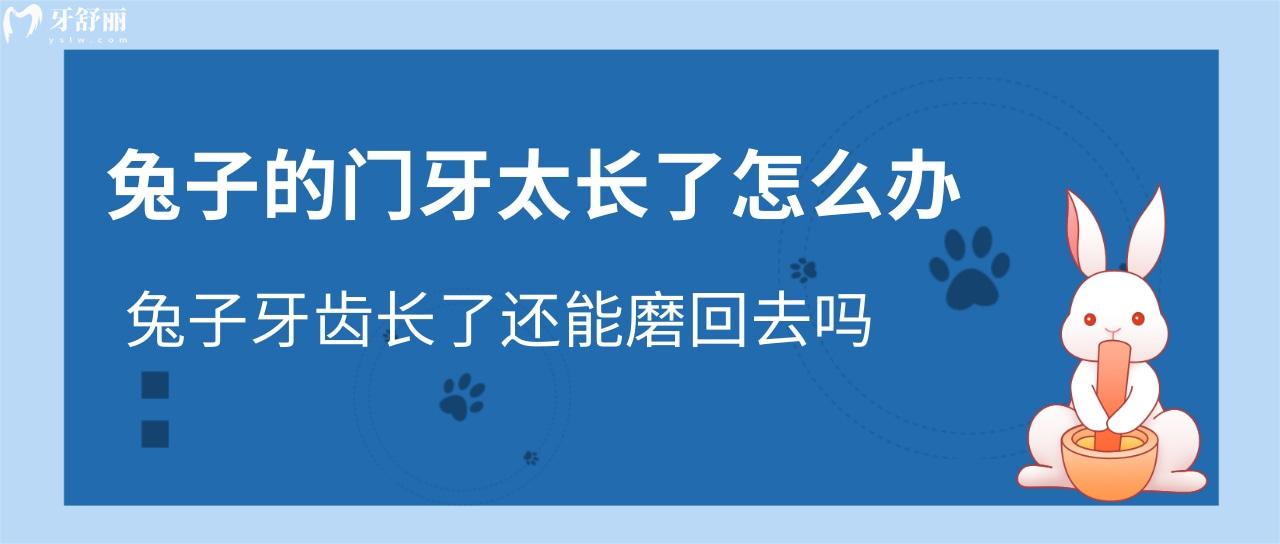 兔子的門牙太長了怎么辦？兔子牙齒長了還能磨回去嗎？
