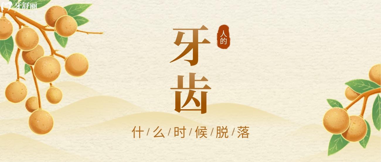 人的牙齒一般什么時候開始脫落完整的呢圖片分享