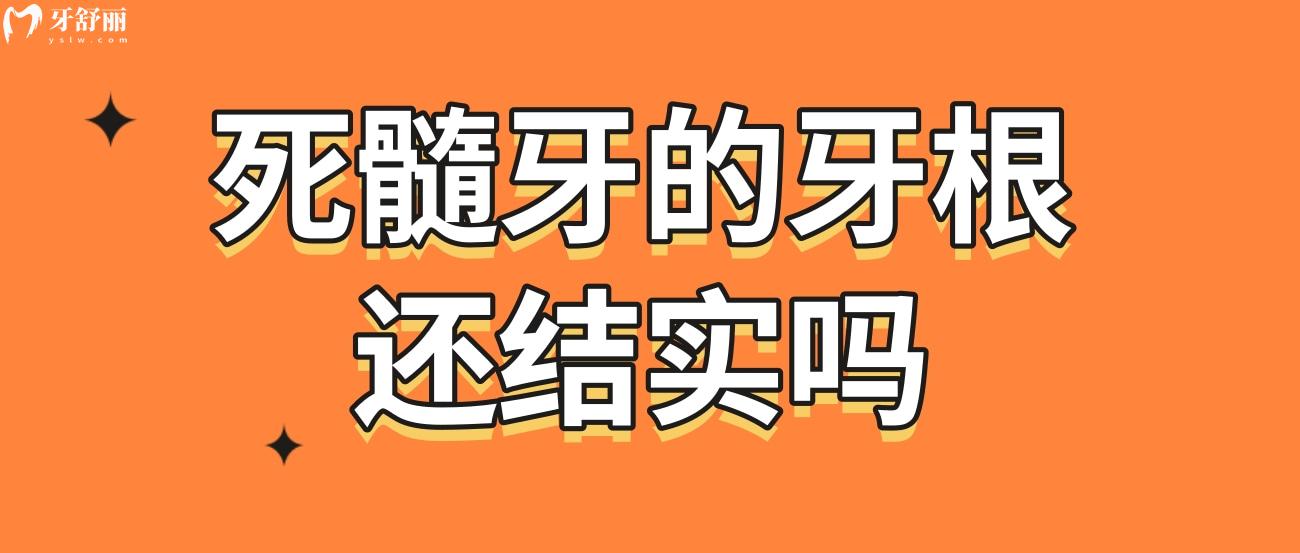 死髓牙的牙根還結(jié)實(shí)嗎.jpg