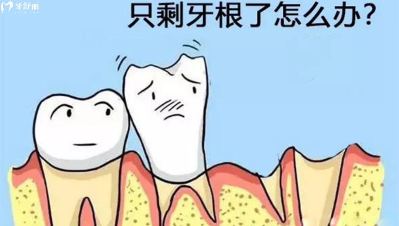 死髓牙的牙根還結(jié)實(shí)嗎.jpg