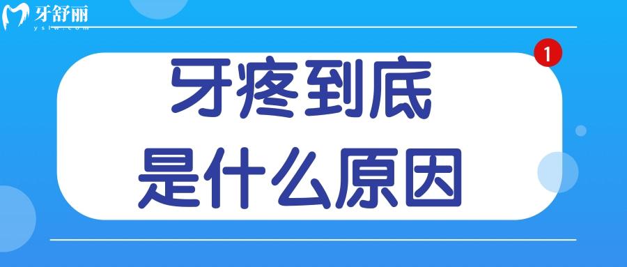 牙疼為何如此劇烈，牙疼的原因到底是什么？