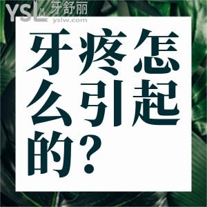 牙疼怎么引起的？智齒牙齦腫痛一樣嗎？