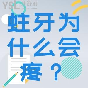 蛀牙為什么會疼？