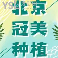 北京冠美口腔醫(yī)院全口種植怎么樣，價格 患者經(jīng)歷