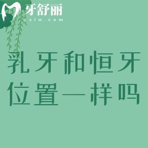 乳牙和恒牙的位置一樣嗎？