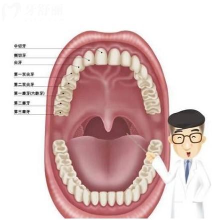 正常牙齒數(shù)量是多少顆？
